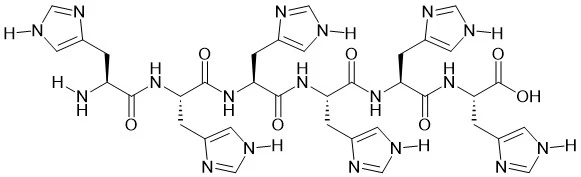 6 × Ei Peptid
