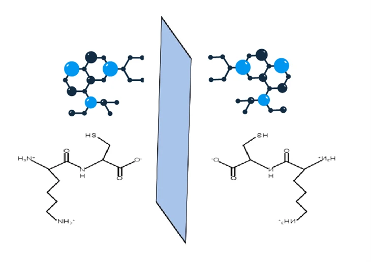 D-Peptidau Asid amino