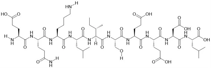 Myc   Epitop   Peptid