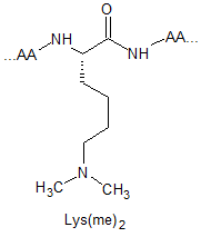 product-181-213 product-181-213