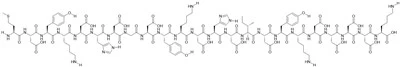 Peptid 3xFlag