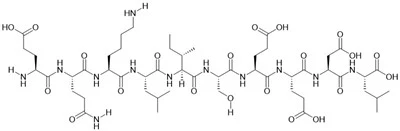 Myc Epitop Peptid