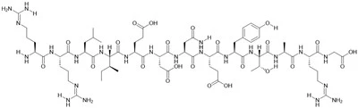 Pp60(v-SRC) Safle Autophosphorylation, Protein Tyrosine Kinase Substrate
