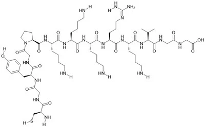 Analog Peptid Signal Cludiant Niwclear SV40