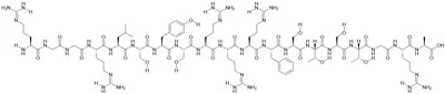 Peptid SynB1
