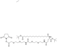 tBuO{0}}Ste-Glu(OtBu)-AEEA{3}}AEEA-OSU CAS 1118767-15-9