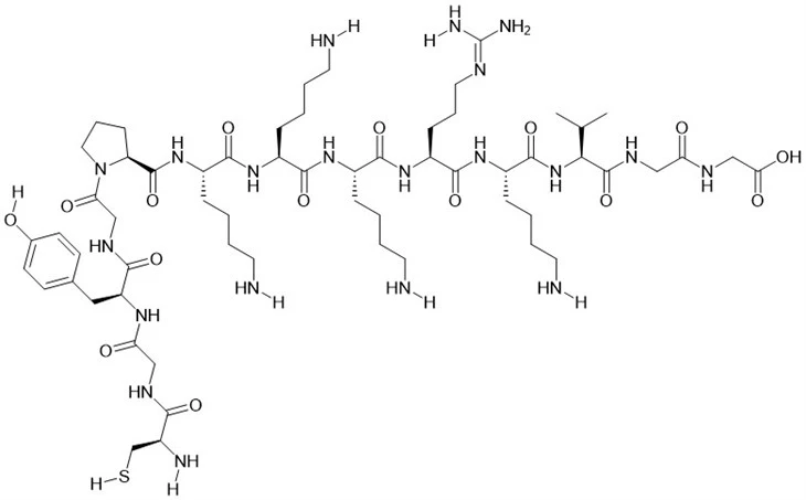 Analog Peptid Signal Cludiant Niwclear SV40
